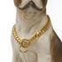 10mm Dog P Chain Training Collar 18K Gold Plated Stainless Steel Miami Dog Chain Choker