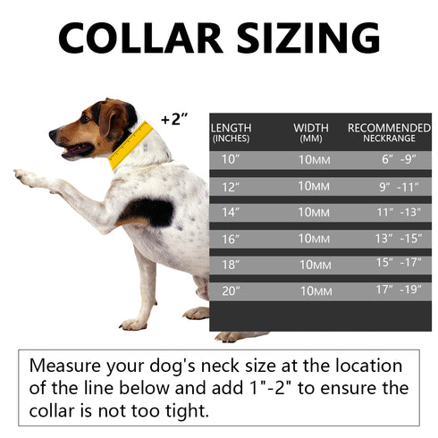 10mm Dog Walking Chain Collar with Rainbow Rhinestone (Include Bone Tag)