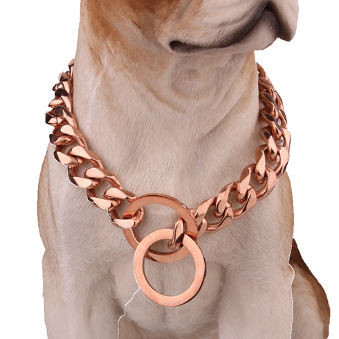 Rvpaws 3 Layer Dog Choke Chain -24 Inch Collar (Golden), Stainless Steel  Plain Dog Collar Charm Price in India - Buy Rvpaws 3 Layer Dog Choke Chain  -24 Inch Collar (Golden), Stainless